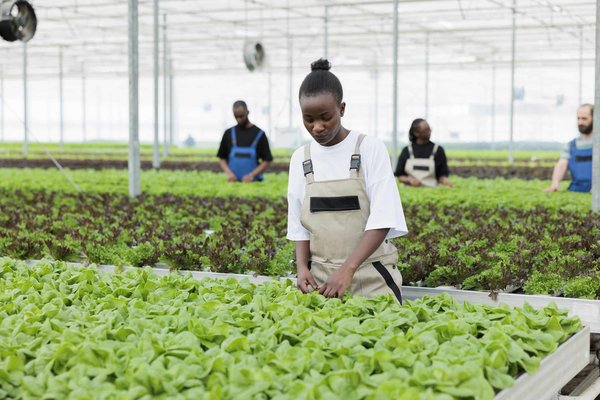Quelles méthodes pour améliorer la prise de décision en période de forte incertitude économique ?